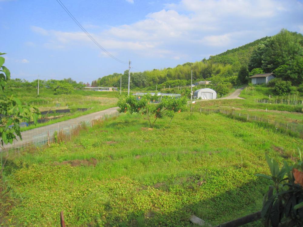 View photos from the dwelling unit. About 100 square meters field 