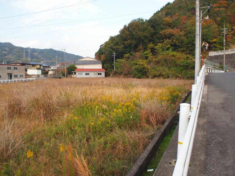 Local land photo. Local (11 May 2012) shooting
