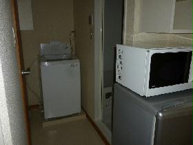 Other Equipment. Washing machine, microwave, Fridge