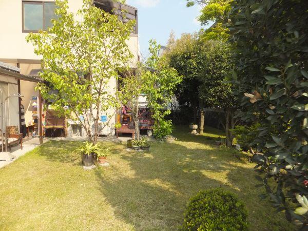 Garden. South sunny garden