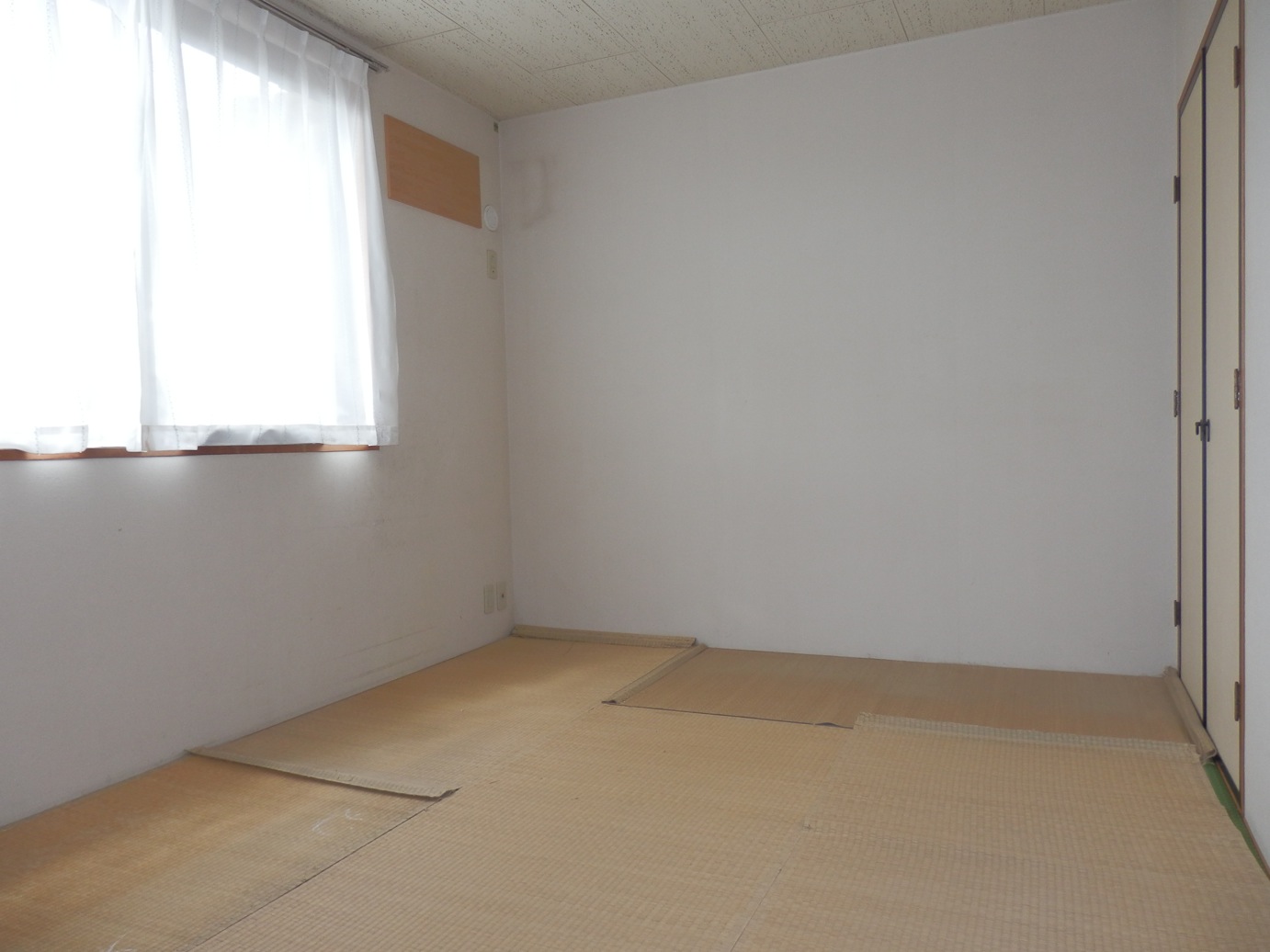 Other. Japanese-style room (tatami is covered with a cover)
