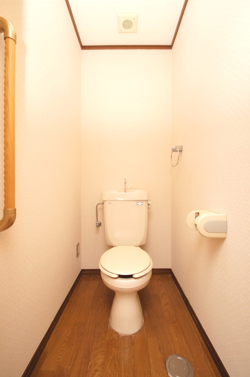 Toilet. This is a conventional toilet