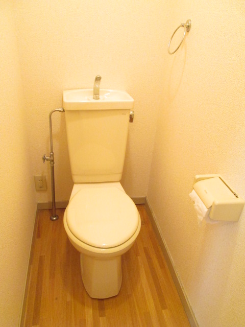 Toilet. It is the introspection of the same type Property.