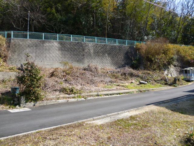 Local photos, including front road. Local (14 May 2013) Shooting