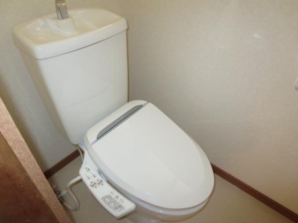 Toilet. I switched to the bidet