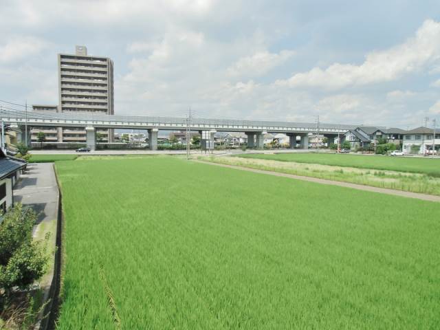 View. Outlook from the entrance side