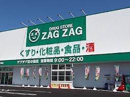 Dorakkusutoa. Zaguzagu Flower of the city shop 465m until (drugstore)