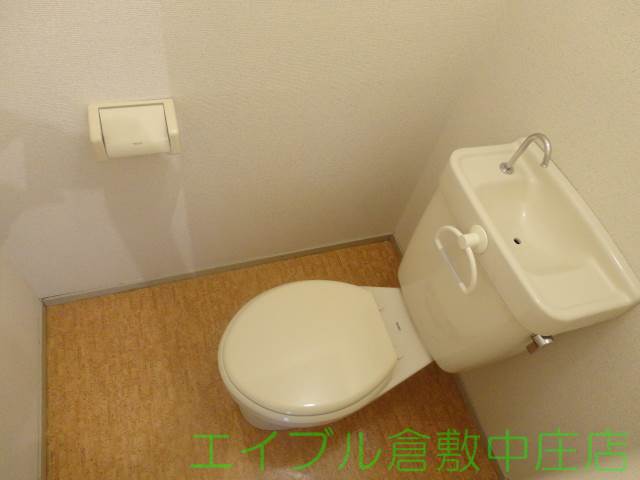 Toilet. It is a flush toilet!