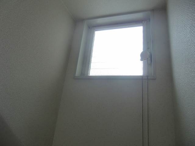 Other. Bright skylight ☆