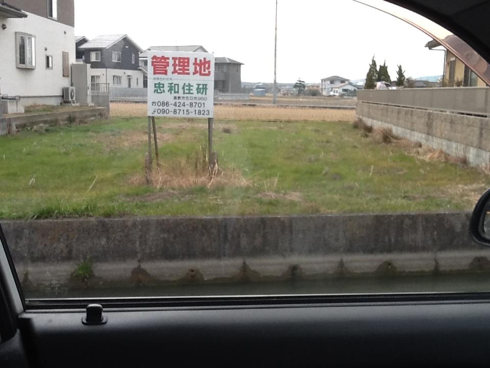 Local land photo. April 2013