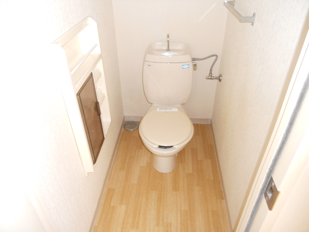 Toilet. It is Western-style flush toilet.