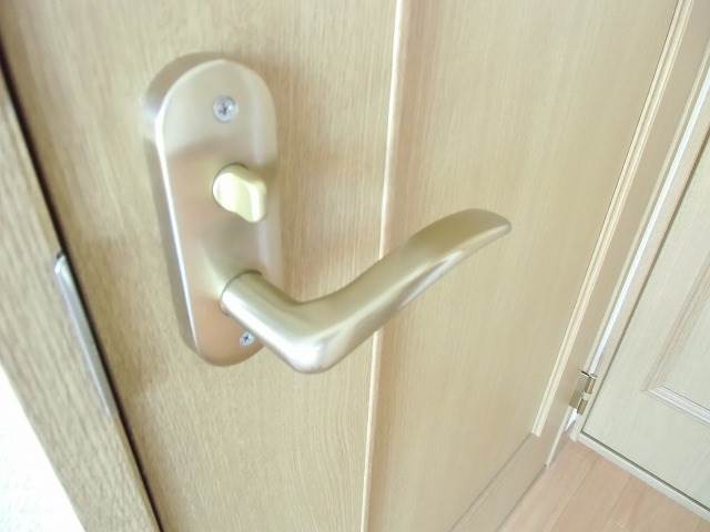 Security. Nanyang room door with key!