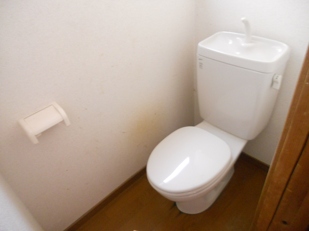 Toilet. Western-style flush toilet