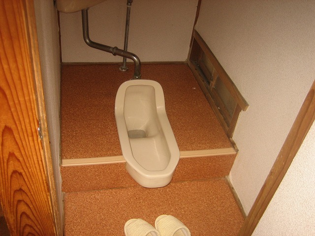 Toilet. Japanese style, It is washed with water. 