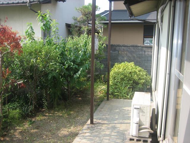 Garden. Garden to the east of the living room