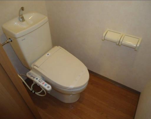 Toilet. (* ' `*) (*'` *) (* ' `*) (*'` *) (* ' `*)