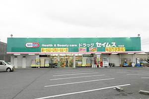 Dorakkusutoa. Drag Seimusu Nakajima shop 254m until (drugstore)