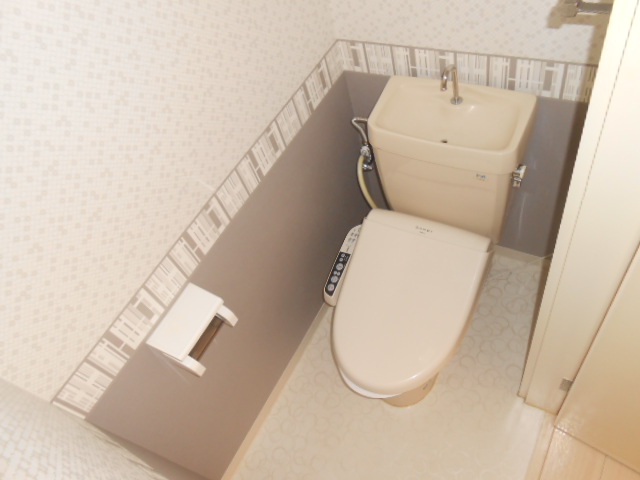 Toilet. Bidet with toilet! It is a stylish space!