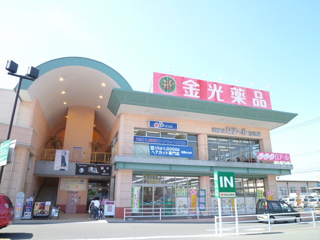 Dorakkusutoa. Kanemitsu chemicals middle. Store 1217m until (drugstore)