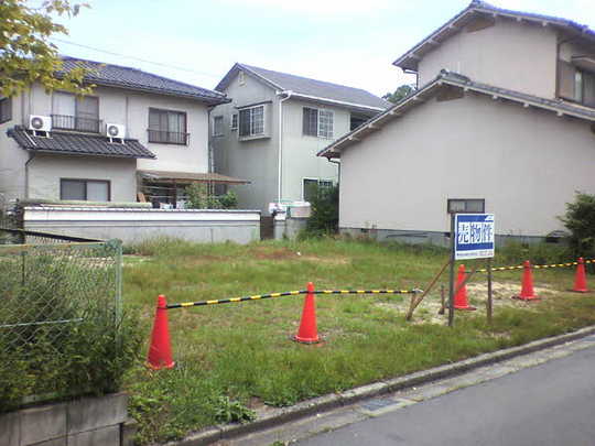 Local land photo