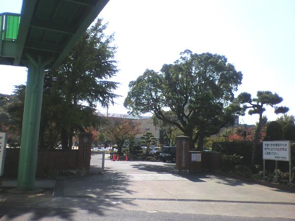 Primary school. Kotoura 300m to East Elementary School