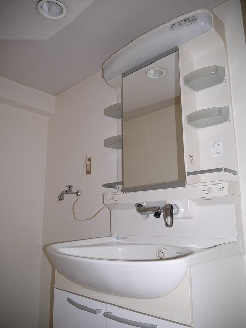 Washroom. Washbasin with shower