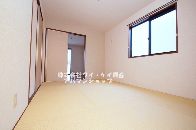 Other room space. Modern tatami