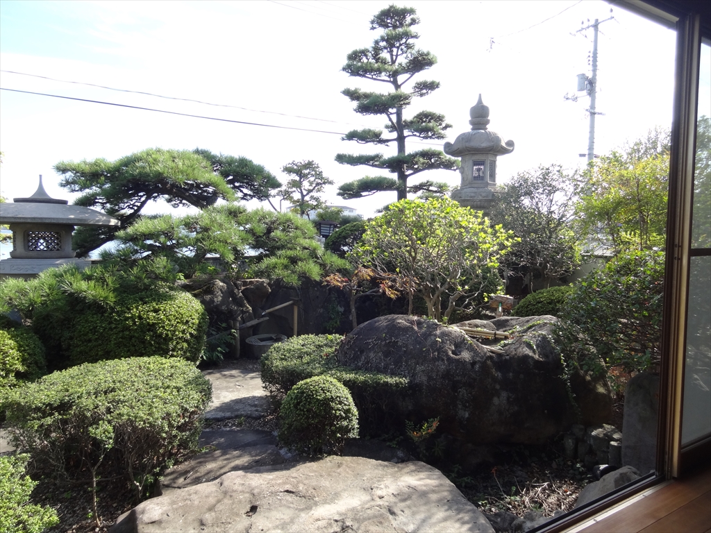 Garden. Japanese garden