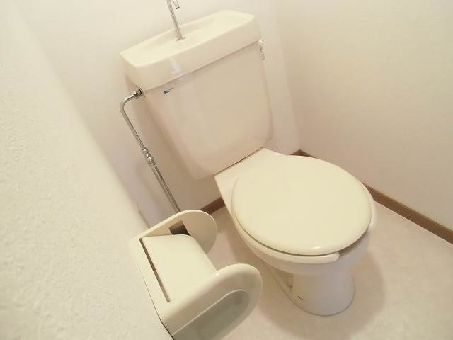 Toilet. Toilet