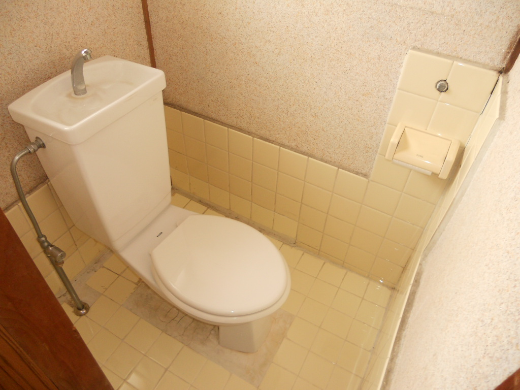 Toilet. Western-style flush toilet