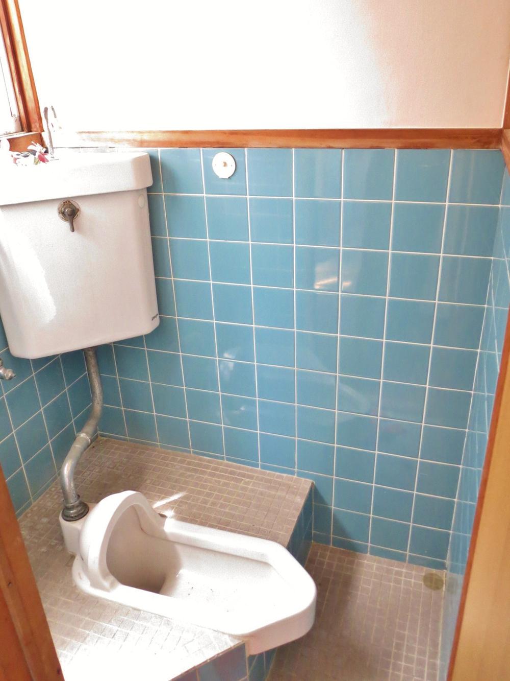 Toilet. Squat toilet