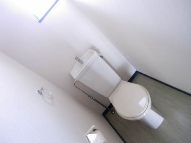 Toilet.  ☆ Flush toilet