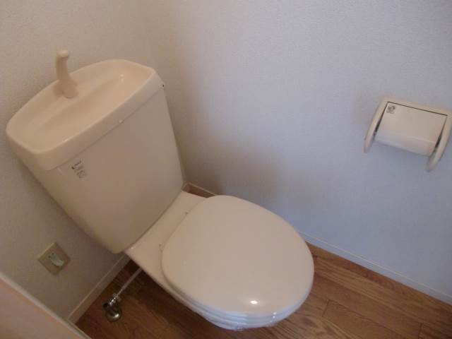 Toilet. Clean toilet ☆