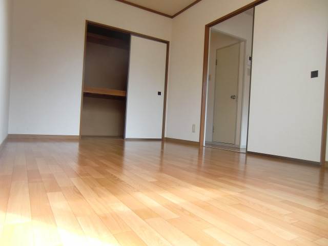 Other room space. Large closet with a Western-style ☆