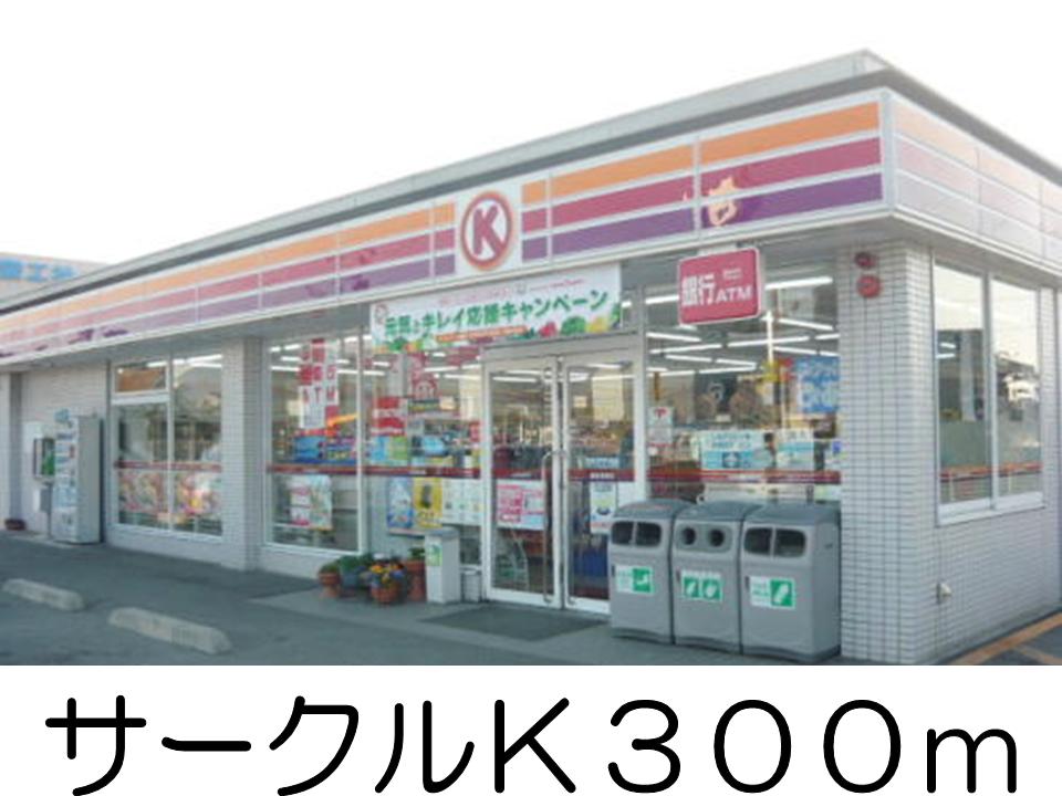 Convenience store. Circle 300m to K (convenience store)