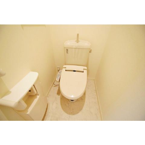 Other. Also has a bidet!