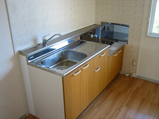 Kitchen. Sink new