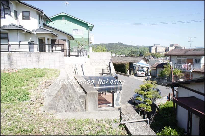 Local land photo