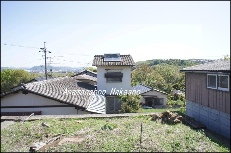 Local photos, including front road