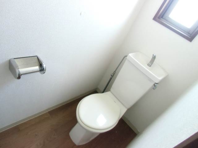 Toilet. It comes with a window! 