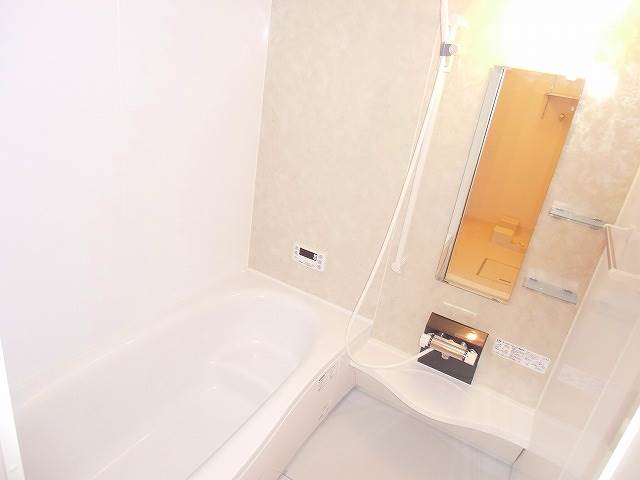 Other. Bathroom (image)