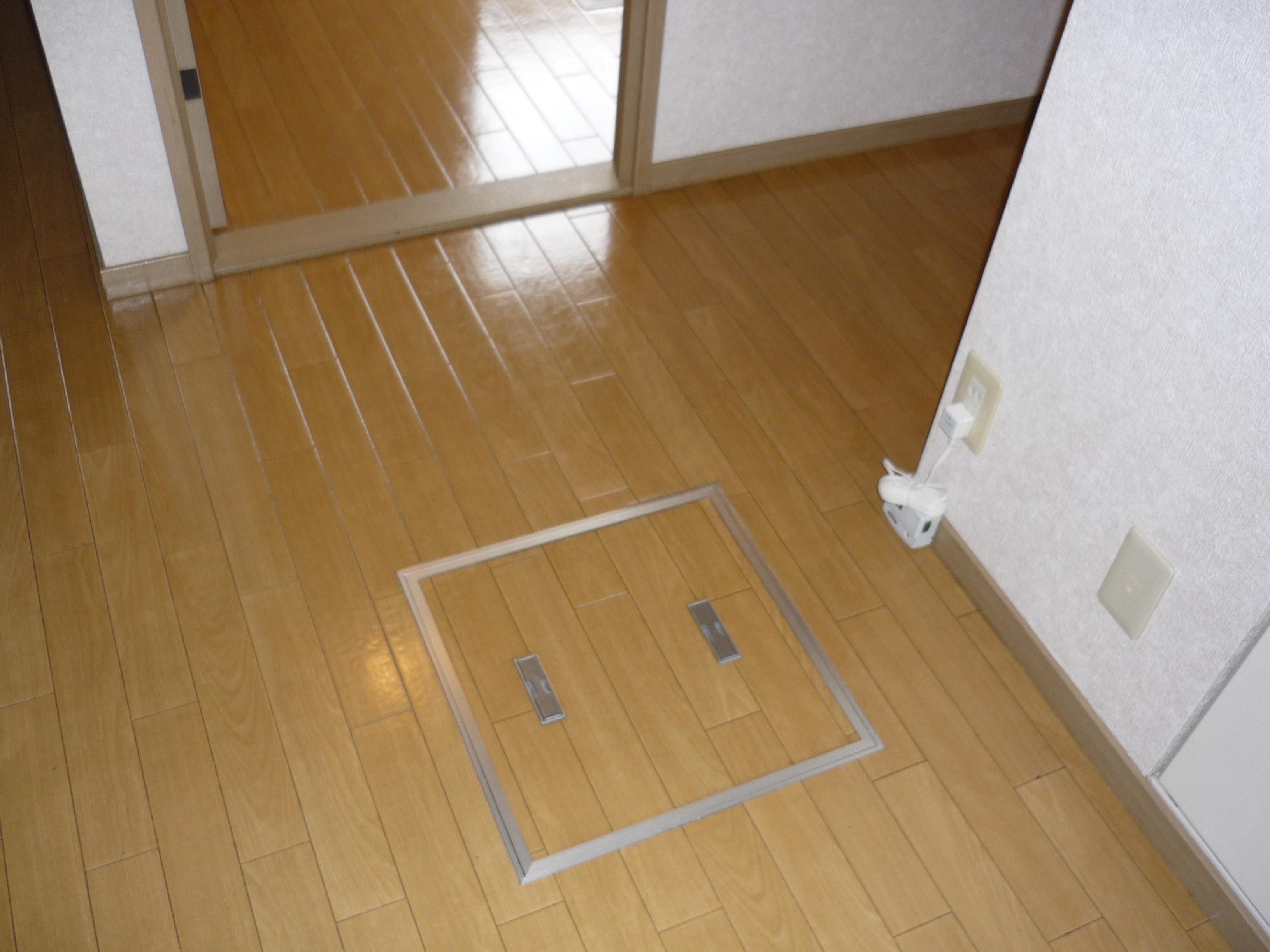 Other. There is also a 1F so underfloor storage.