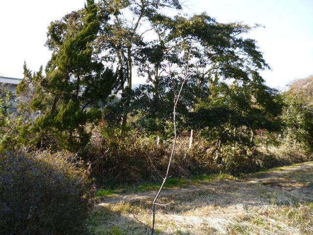 Local land photo. Local (February 2013) Shooting