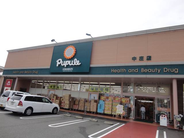 Dorakkusutoa. Related symptoms sunflower middle. Shops 133m to (drugstore)