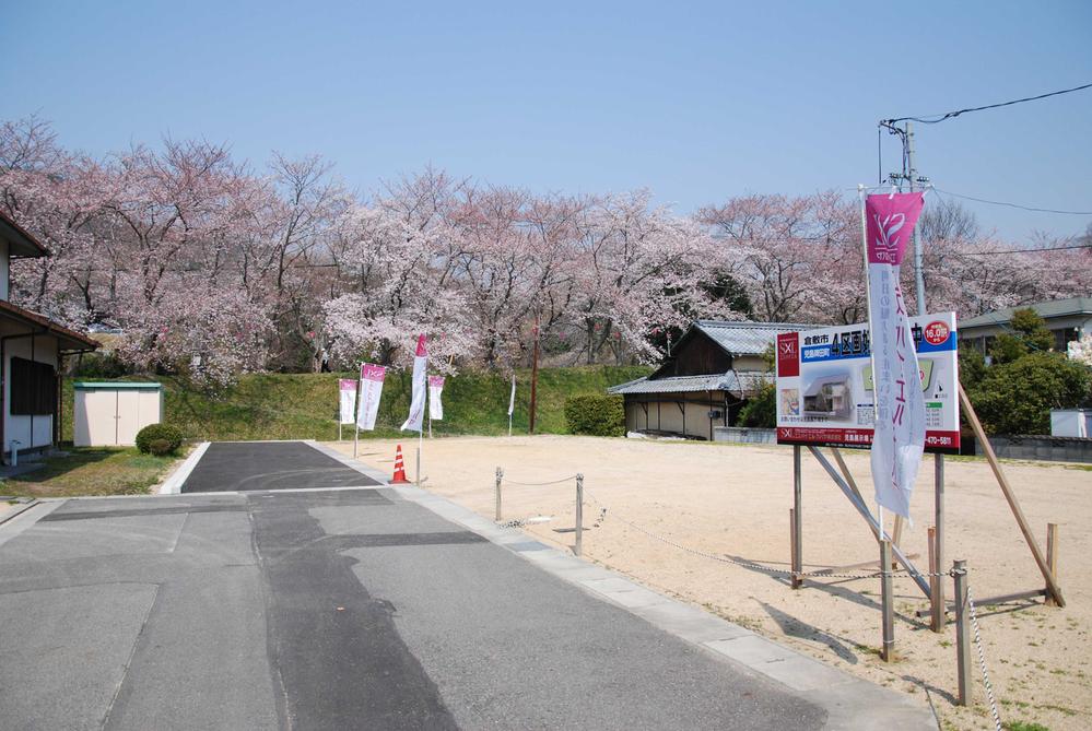 Local land photo. Local photo (April 2012 shooting) garden with cherry blossoms can also residential areas