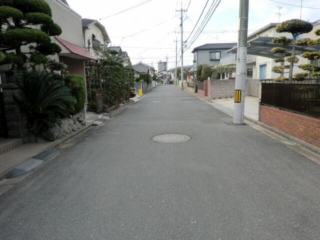 Local photos, including front road. Local (12 May 2013) Shooting