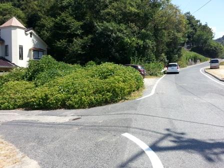 Local photos, including front road