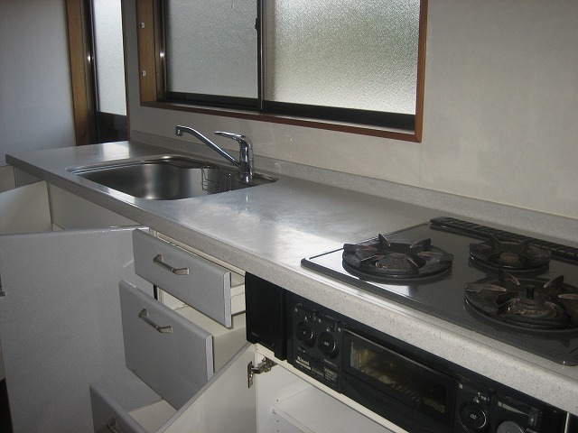 Kitchen. Sink New is