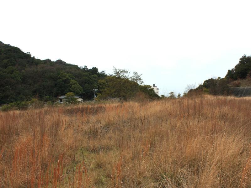 Local land photo