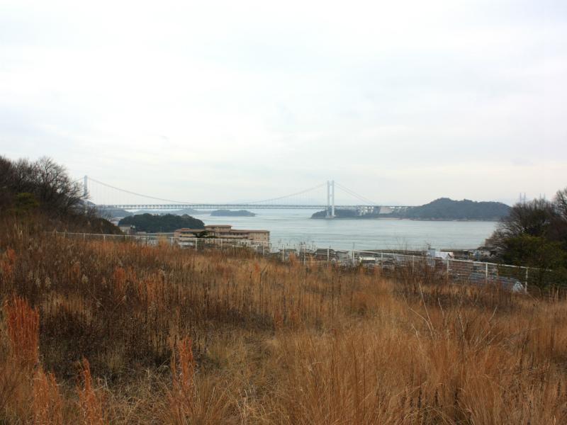 View photos from the local
